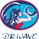 Dr. Wave - Developing Leaders to Their Full Potential
